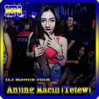 Lagu Dj Anjing Kacili (Tetew) Offline أيقونة