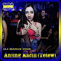 Lagu Dj Anjing Kacili (Tetew) Offline تصوير الشاشة 3
