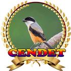 Suara Burung Cendet Juara mp3 أيقونة