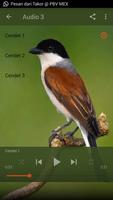 Suara Burung Cendet Juara mp3 تصوير الشاشة 3