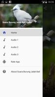 Suara Burung Jalak Bali Juara capture d'écran 1