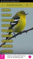 Suara Burung Sirtu Juara mp3 تصوير الشاشة 2
