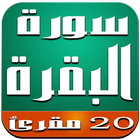 سورة البقرة - بصوت 20 قارئ icon