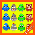 Bird Connect Puzzle Plus