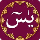 Surah Yaseen - With Urdu Translation APK
