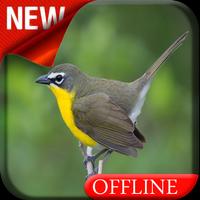 Yellow Breasted Chat Bird Song 포스터