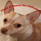 Attack of Peanut the Chihuahua icono