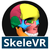 SkeleVR 圖標