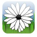 Daisy Game APK