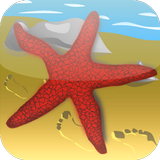 Starfish Game icon