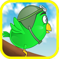 Happy Jumping Bird