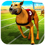 Dog Crazy Race Simulator