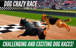 Dog Crazy Race Simulator Affiche