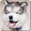 Cute Hasky Puppies Screen Lock APK