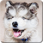 Cute Hasky Puppies Screen Lock ikona