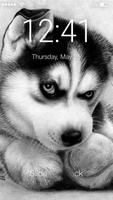 Cute Hasky Puppies Screen Lock Cartaz