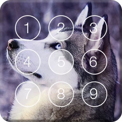 Hasky Dog Screen Lock
