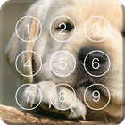 Icona Labrador Puppy Screen Lock