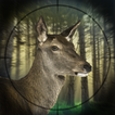 Deer Hunter chuyên gia