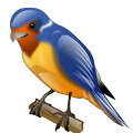 Bird Photo frame