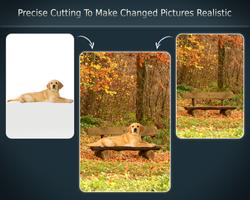 برنامه‌نما Change Photo Background عکس از صفحه