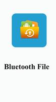 Bluetooth Files Ekran Görüntüsü 3