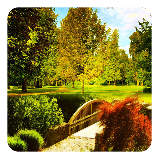 Zen Garden Live Wallpaper