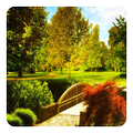 ”Zen Garden Live Wallpaper