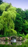 Zen Garden Live Wallpaper 스크린샷 3