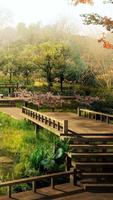 Zen Garden Live Wallpaper 스크린샷 1