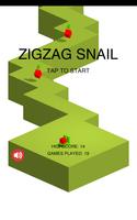 Zig Zag Snail poster