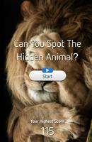 Poster Animal Camouflage Quiz