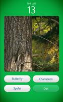 Animal Camouflage Quiz اسکرین شاٹ 2