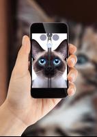 Cat Zipper Lock Screen Ekran Görüntüsü 1