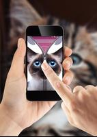 Cat Zipper Lock Screen ảnh chụp màn hình 2