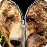 bear fake zipper lock