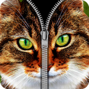 cat zipper lock screens free APK