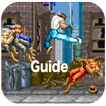 Guide for Final Fight 2017