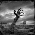 ”Zombie Wallpaper