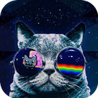Cool Cat Theme - Applock icône