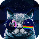 Cool Cat Theme - Applock APK