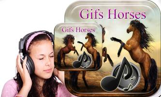 Horse Gifs Affiche