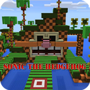 Sonic the Hedgehog Map APK