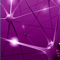 Neurologia po Dyplomie