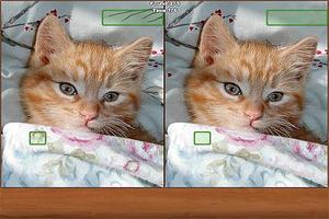 Cats Spot the Difference โปสเตอร์