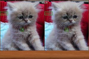 Gatos Descubra as Diferenças imagem de tela 1