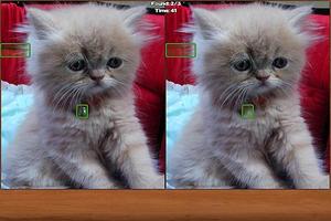 Gatos Spot the Difference captura de pantalla 1