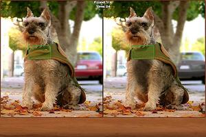 Dogs Spot the Difference ảnh chụp màn hình 1