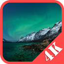 Night Sky Wallpapers 4K Res APK