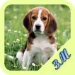 Dog Wallpapers